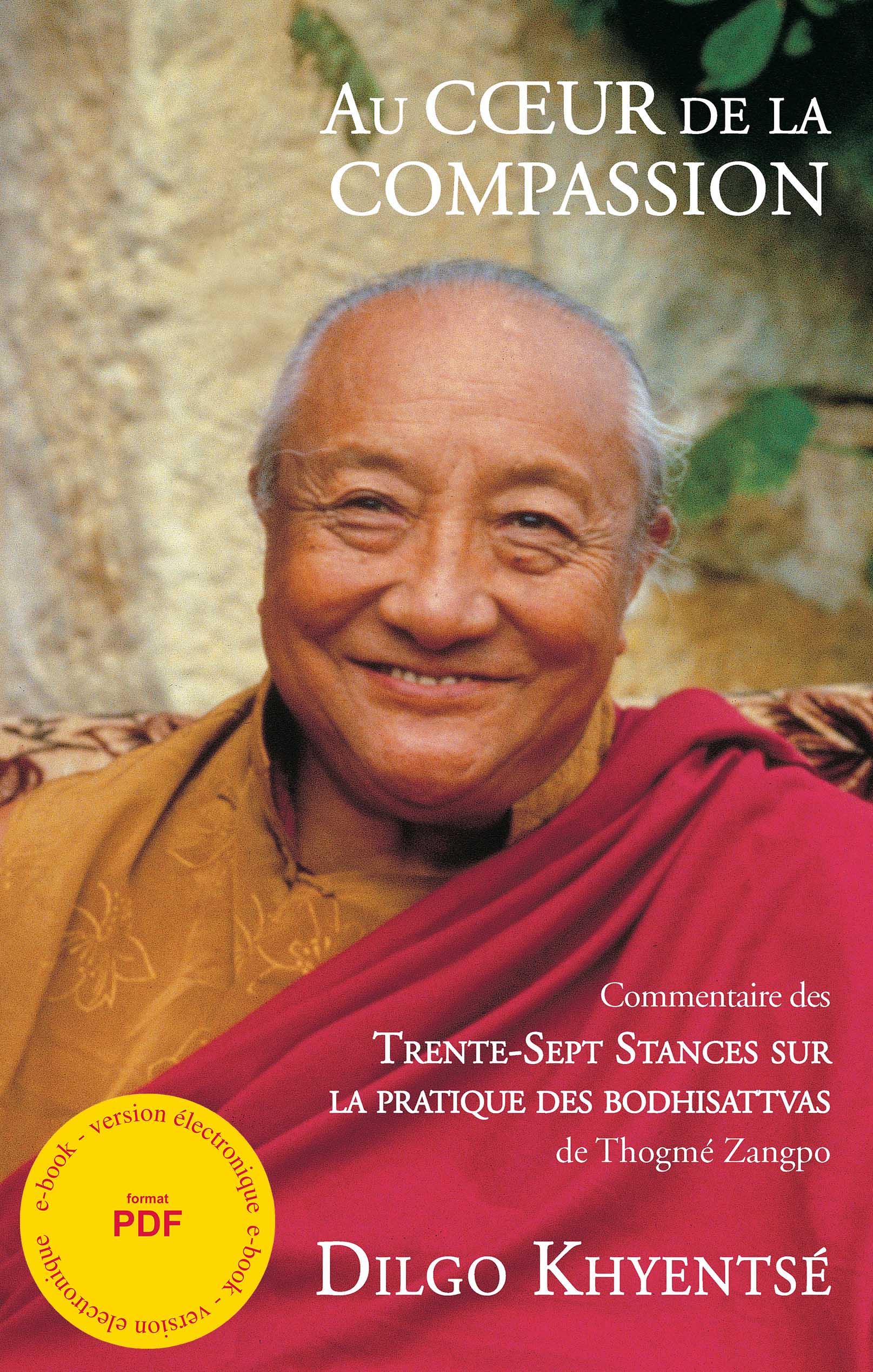 Au Coeur de la Compassion - Ebook pdf
